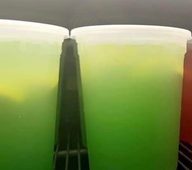 Green Apple 32oz Lemonade.